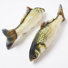 Carregar imagem no visualizador da galeria, 2 Pieces of Fish-shaped Cat Toy