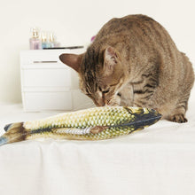 Carregar imagem no visualizador da galeria, 2 Pieces of Fish-shaped Cat Toy
