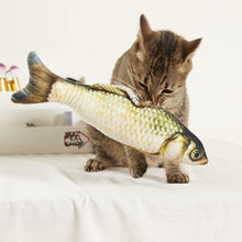 Carregar imagem no visualizador da galeria, 2 Pieces of Fish-shaped Cat Toy
