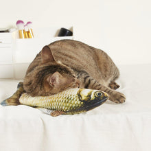 Carregar imagem no visualizador da galeria, 2 Pieces of Fish-shaped Cat Toy