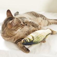 Carregar imagem no visualizador da galeria, 2 Pieces of Fish-shaped Cat Toy