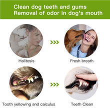 Carregar imagem no visualizador da galeria, Dog Toothbrush 2019 - Free Shipping