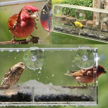 Carregar imagem no visualizador da galeria, Window Bird Feeder - Clear Wild Bird Watching