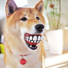 Carregar imagem no visualizador da galeria, 2 pcs Pet Ball with Funny Teeth