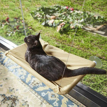 Carregar imagem no visualizador da galeria, Window Hammock Bed for Cats
