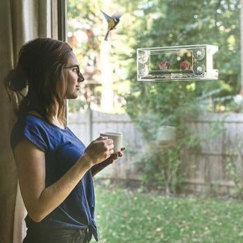 Window Bird Feeder - Clear Wild Bird Watching