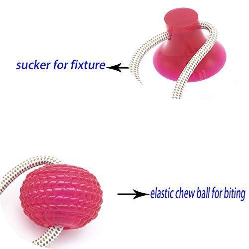 Multifunctional pet bite toy