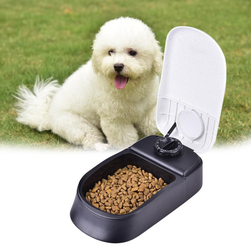 Automatic Feeder with Timer