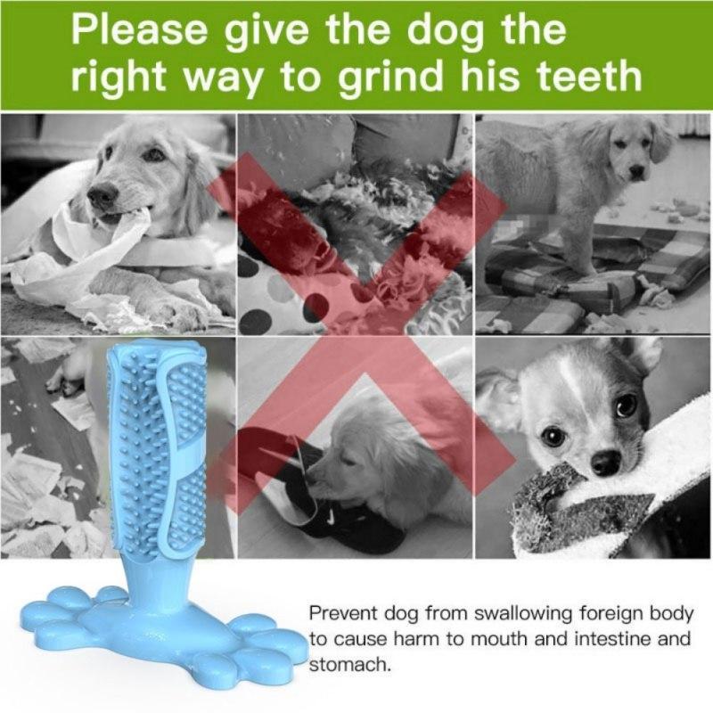 Dog Toothbrush 2019 - Free Shipping