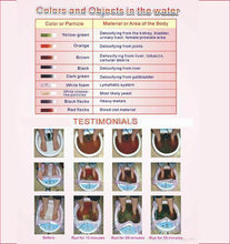 Carregar imagem no visualizador da galeria, Organism Cleansing Apparatus
