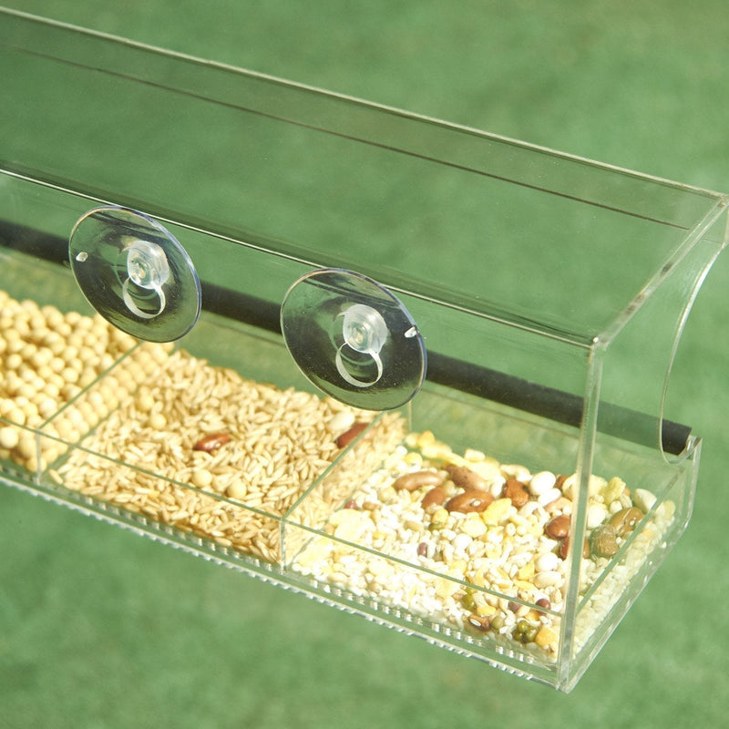 Window Bird Feeder - Clear Wild Bird Watching