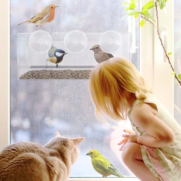 Window Bird Feeder - Clear Wild Bird Watching