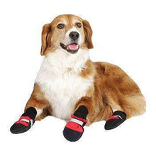 Carregar imagem no visualizador da galeria, Pet Boots - Protect Your Best Friend No Matter The Season!

