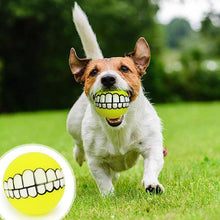 Carregar imagem no visualizador da galeria, 2 pcs Pet Ball with Funny Teeth
