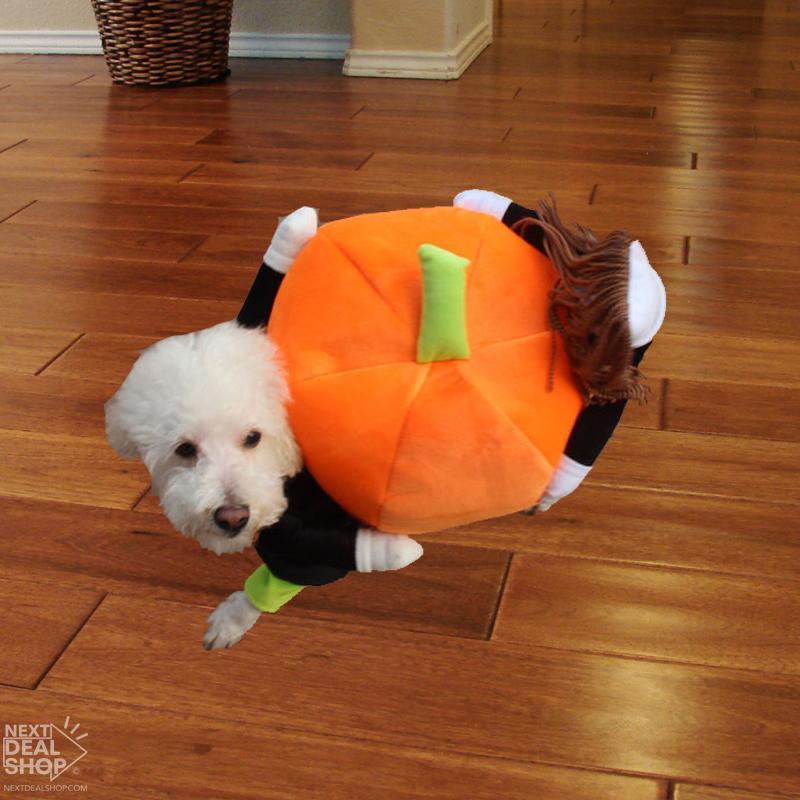 Fantasy Dog Carrying Pumpkin