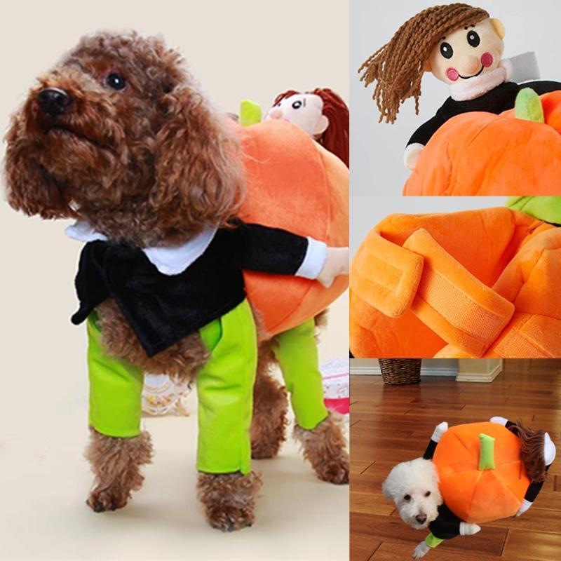 Fantasy Dog Carrying Pumpkin