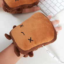 Carregar imagem no visualizador da galeria, USB Glove Warmers
